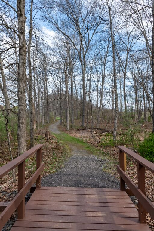 Walking Routes and Scenery Ideas for More Enjoyable Exercise