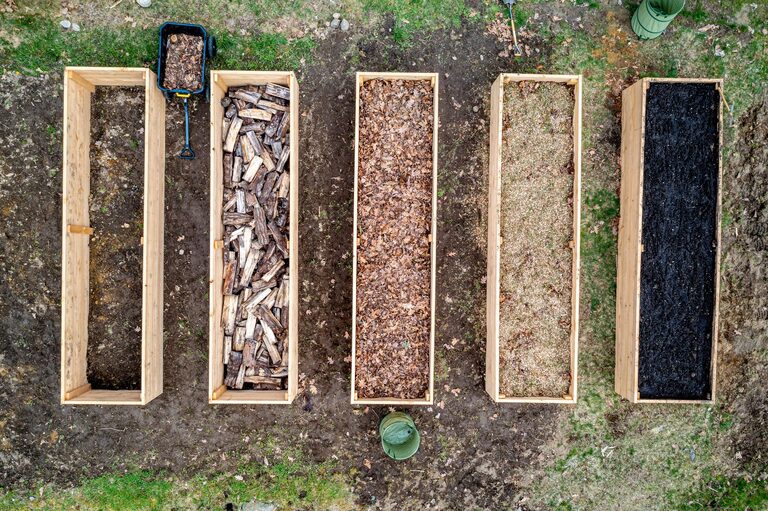 Beginner-Friendly Gardening Projects for Active Adults